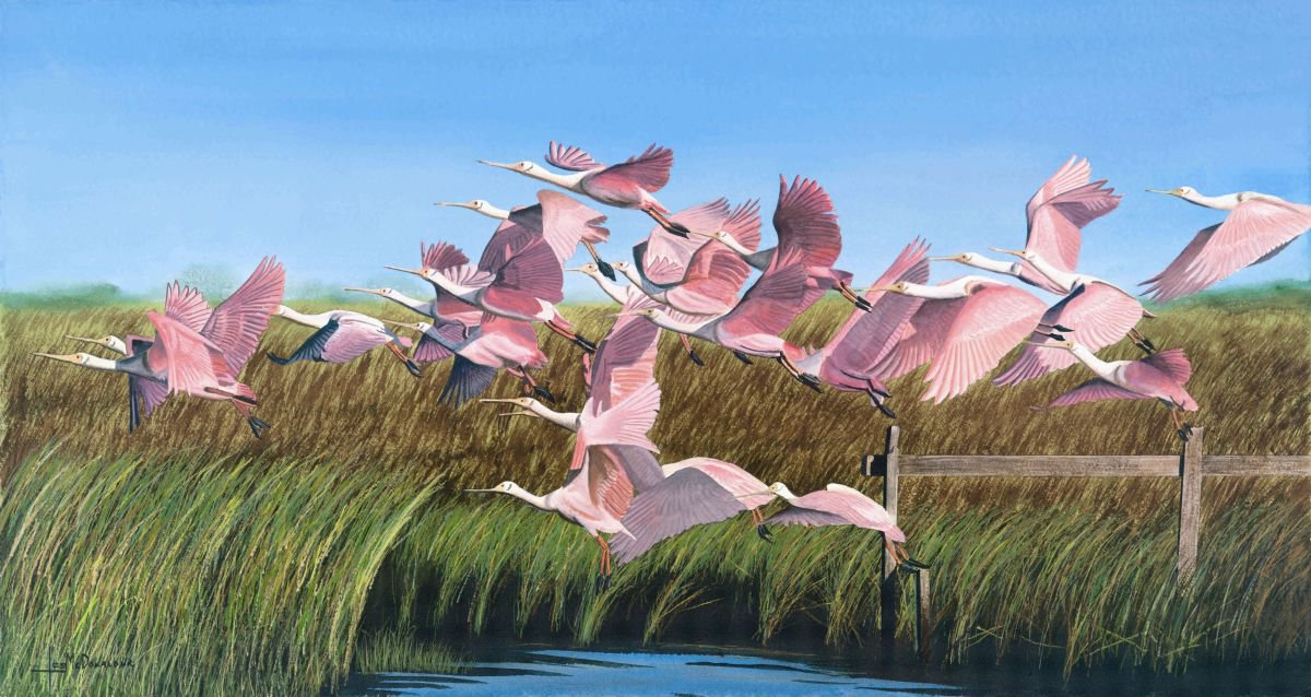 Tidal Flat Roseates by Leslie McDonald, Jr.