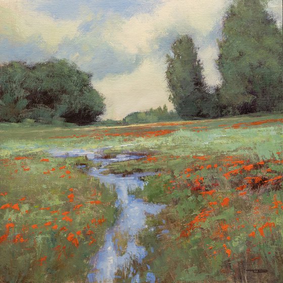 Spring Poppy Field 250107