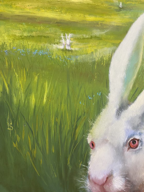The White Rabbit follows you