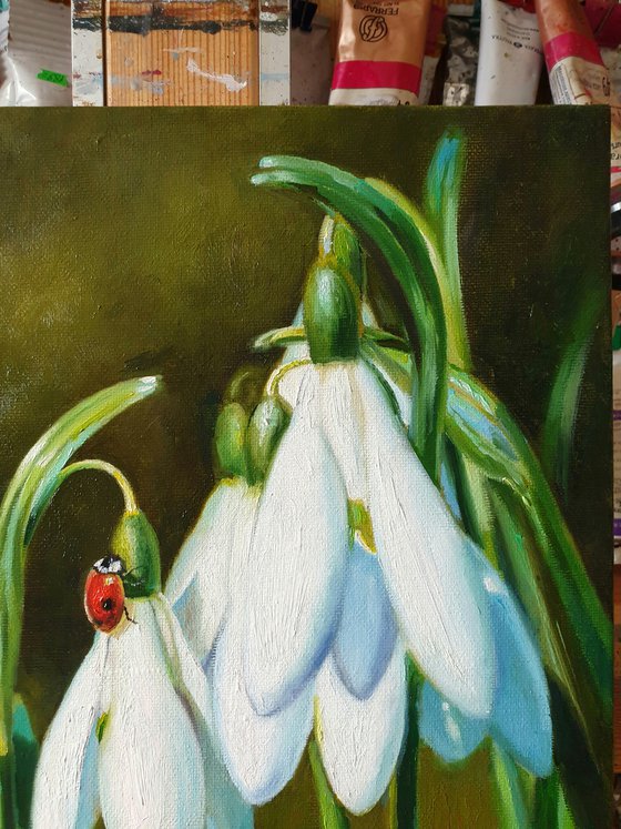 "Guest."  flower snowdrops ladybug  liGHt original painting  GIFT (2020)