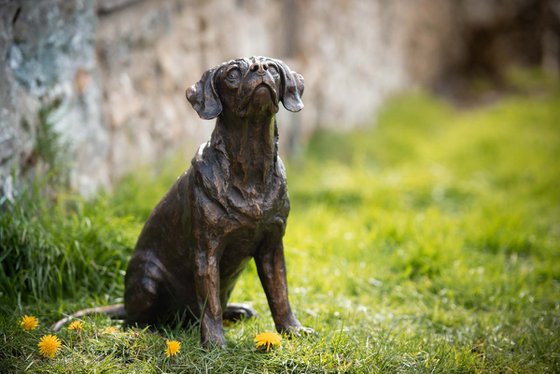 Sitting Puggle FB