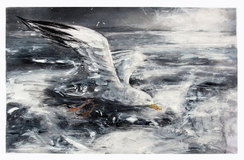 Gull, Morcambe Bay by John Sharp