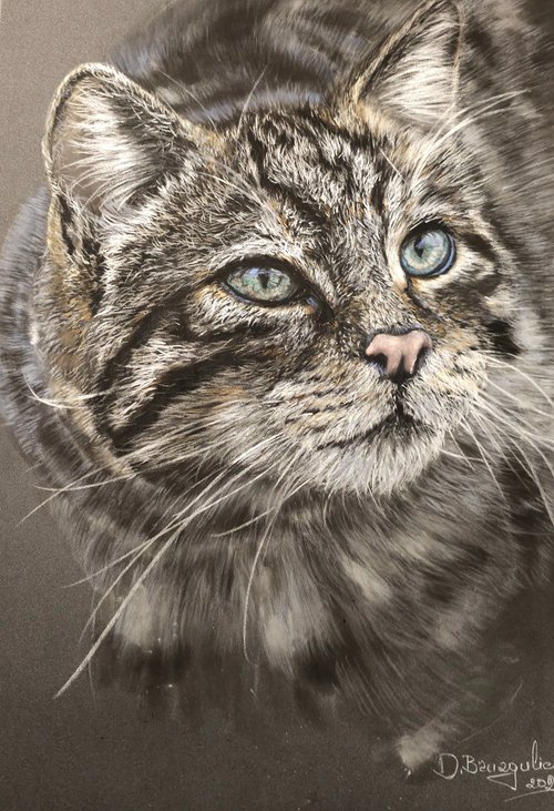 Pastel oil Cat painting realism on Paper by Deimante Bruzguliene