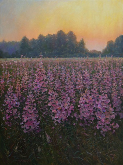 Sunset Over The Fireweed Field - summer painting landscape by Nikolay Dmitriev