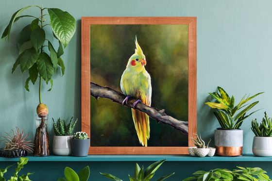 Yellow cockatiel on a branch