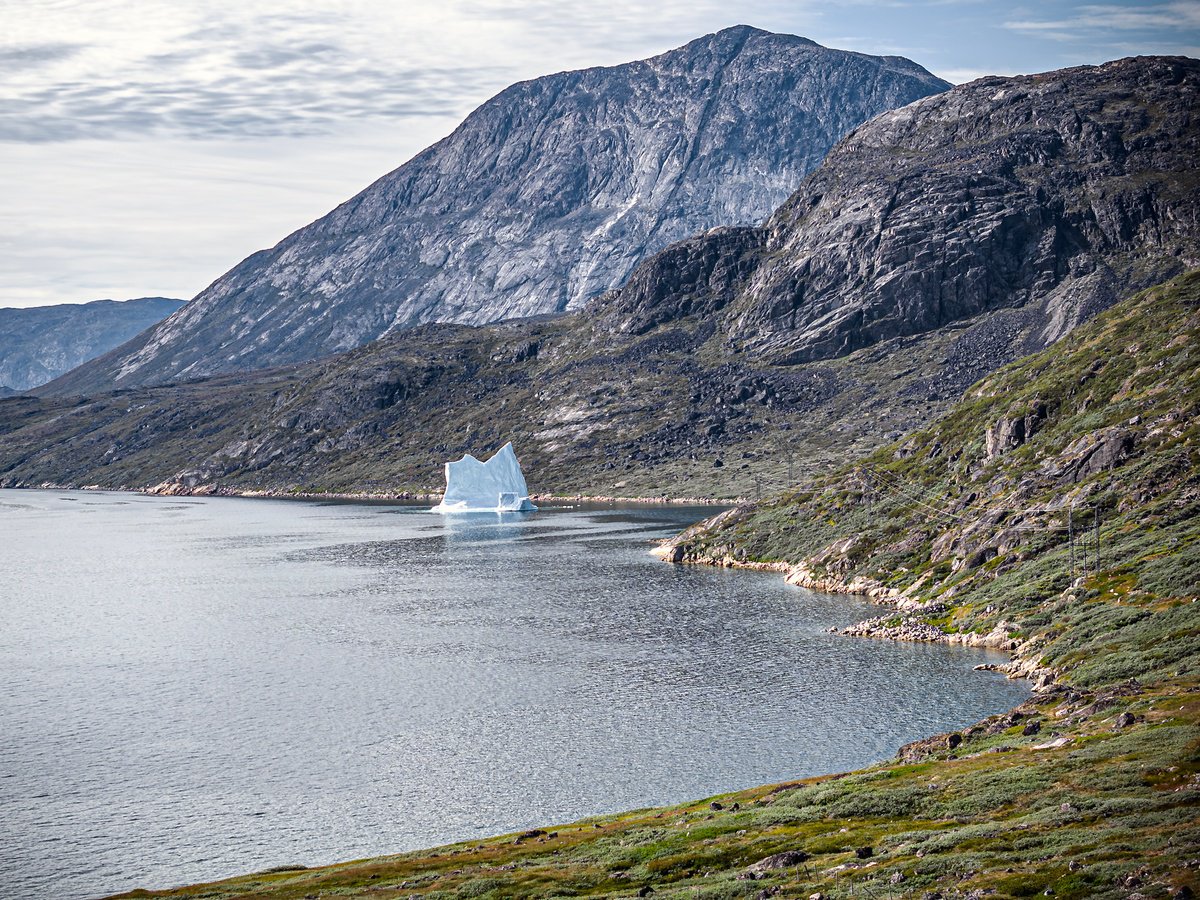 GREEN AND ICE by Fabio Accorri?