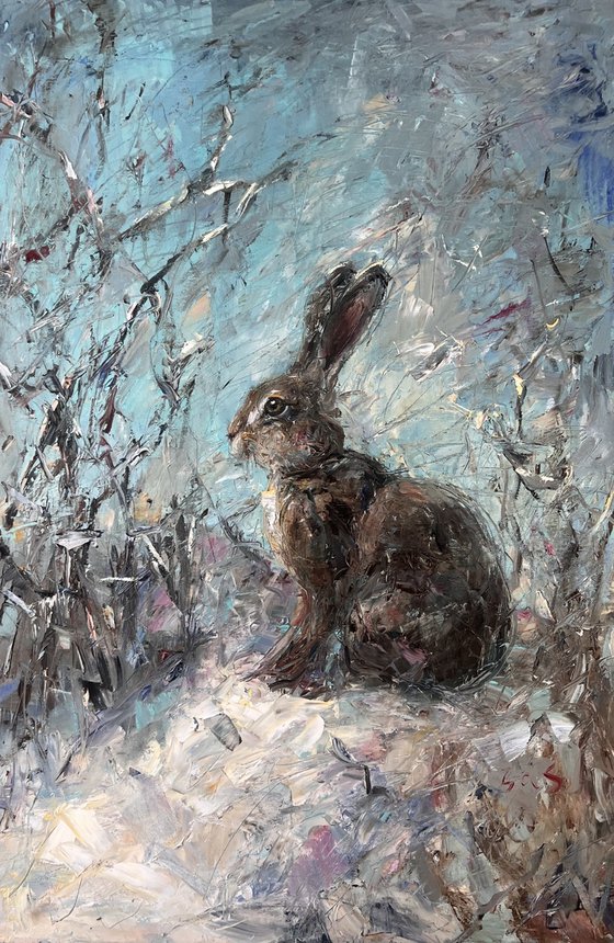 Hare in the snow