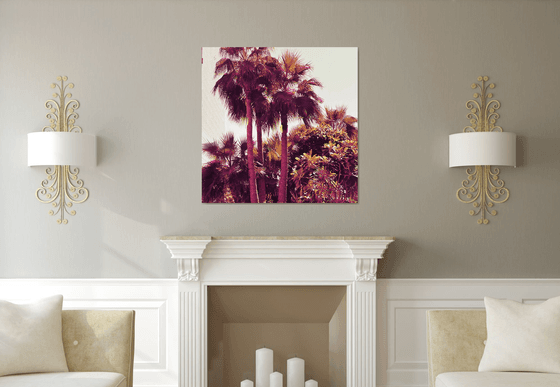 Palms IV