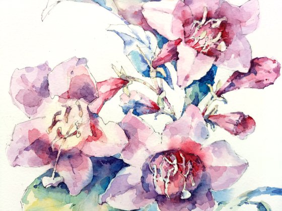 Decorative composition "Pink weigela flowers with leaves" - original watercolor work in square format