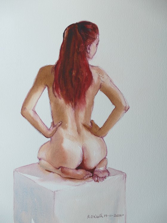 Female nude back study