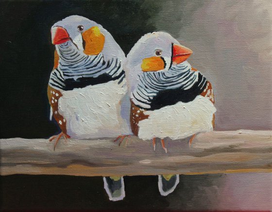 Zebra Finches