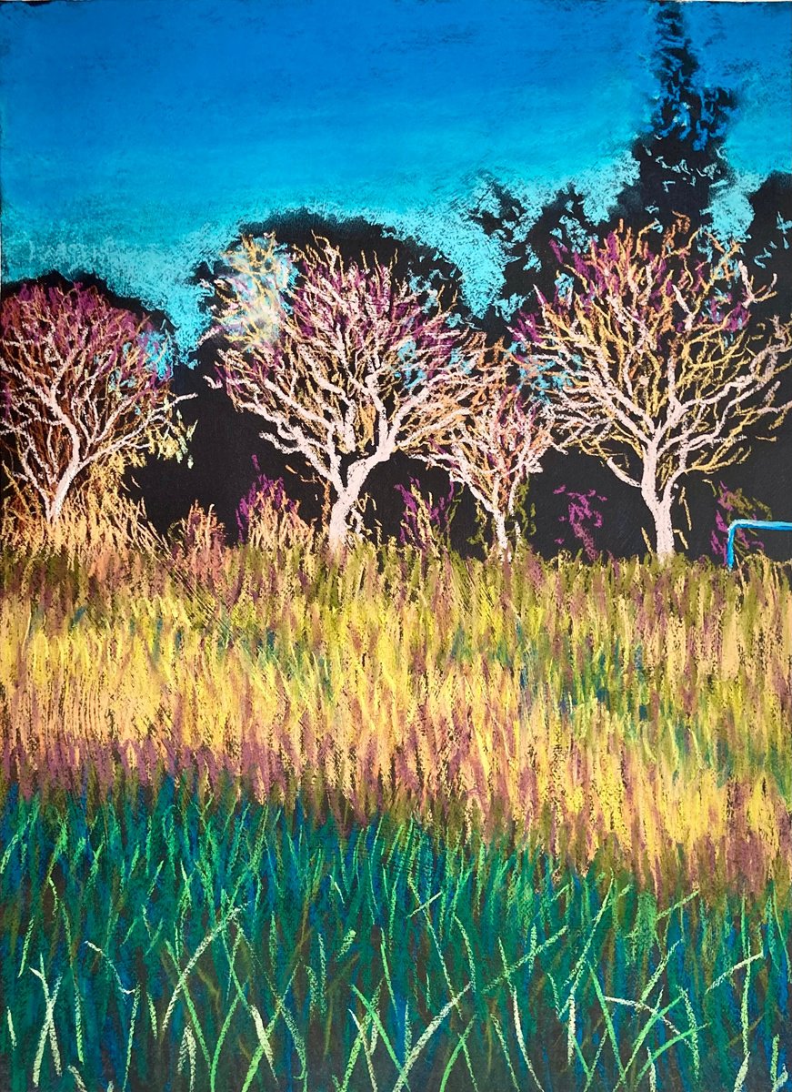 Impressionistic Pastel Drawing , White Trees By John Cottee, 22 X 30, Artwork For Sale On Artfinder