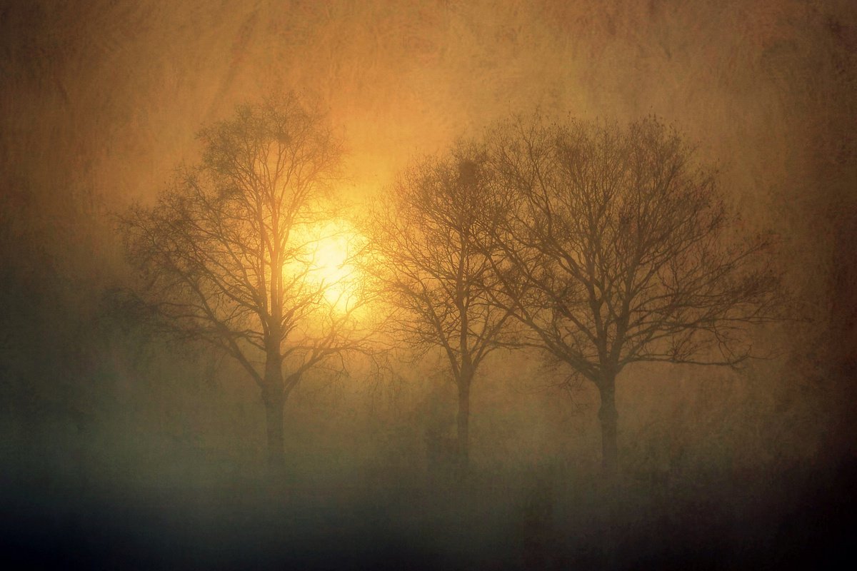 Burning Fog by Sandra Roeken
