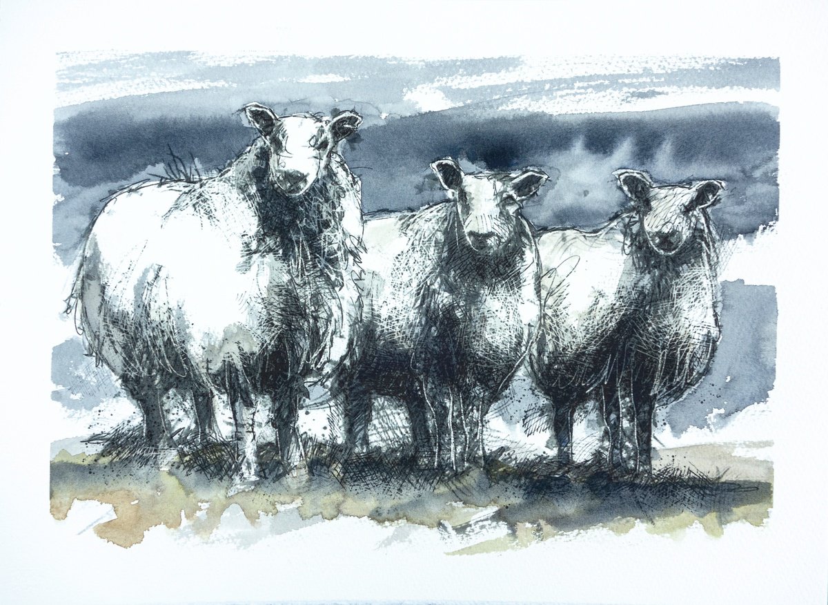Impressionistic Animal Watercolour By Sean Briggs, 15 X 11", Blue Faced Sheep, Original Artwork
