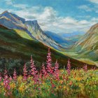 Fireweed