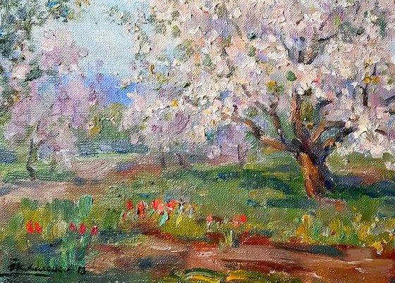 Oil painting Apricots bloom nKoval141