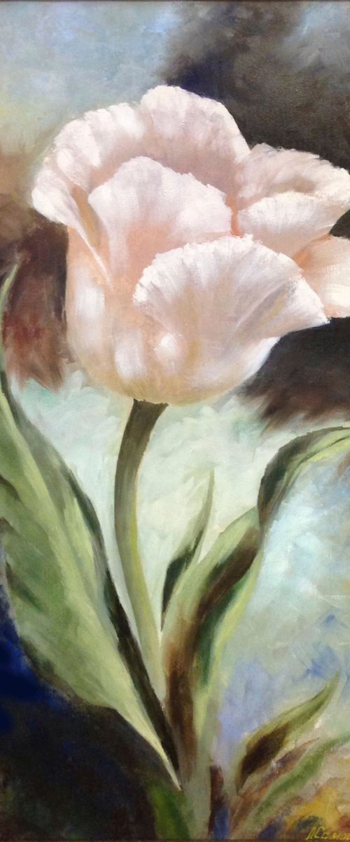 Big pale pink tulip by Liubov Samoilova