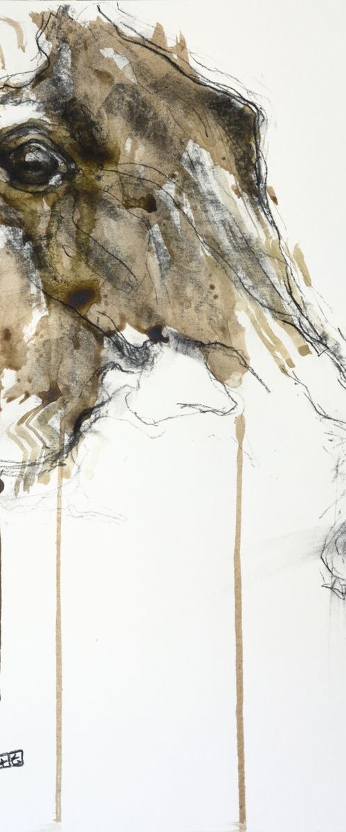 Equine Nude 79t by Benedicte Gele