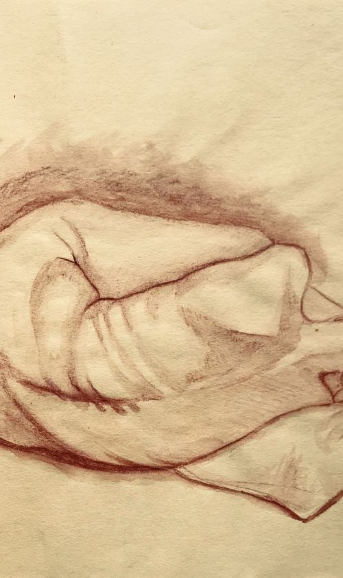 Nude on pillow by Vincenzo Stanislao