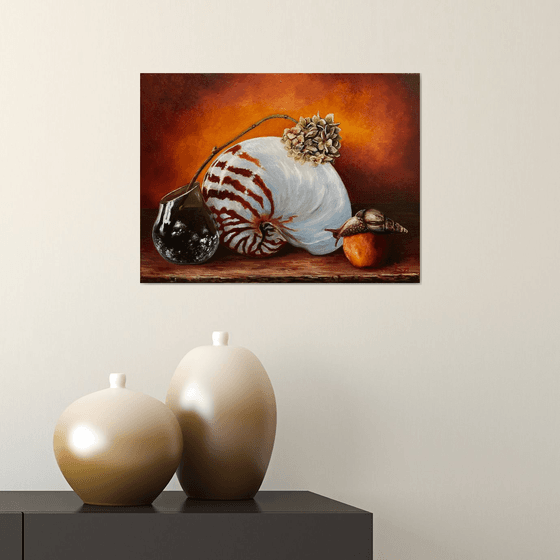 The still life with a nautilus shell