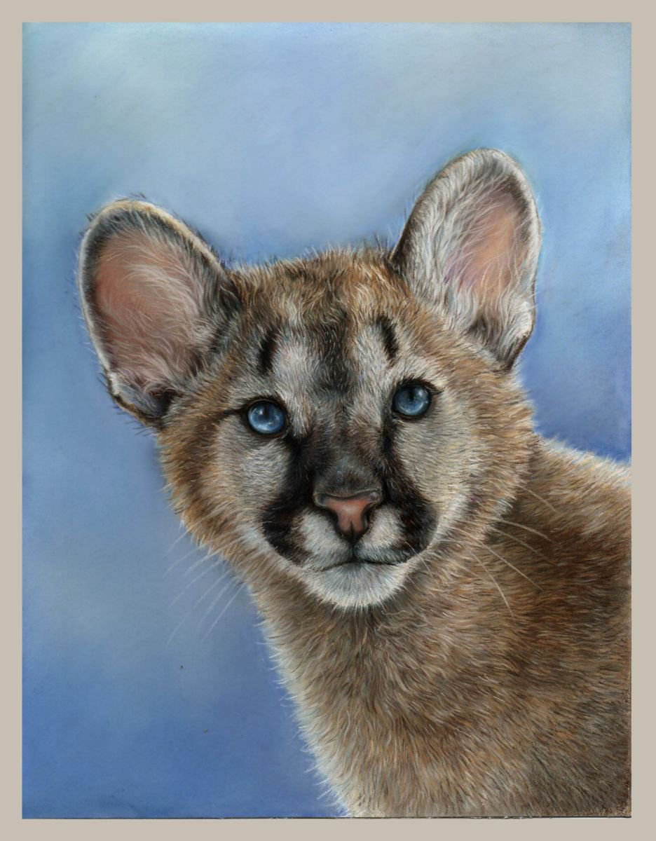 Puma cub pastel drawing by Tatjana Bril Artfinder