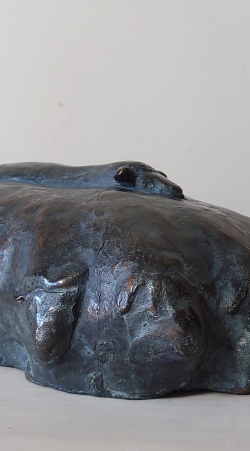 Silent Migration by Nerijus Kisielius