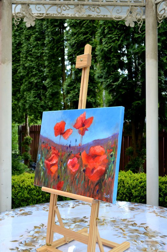 Coral Poppies