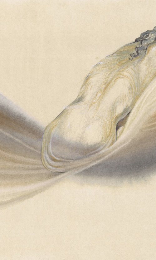 Nudes and Erotics 1844 by Samira Yanushkova