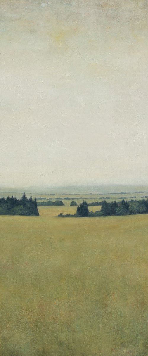 Distant Valley 230307 by Don Bishop