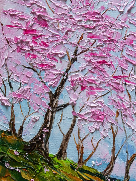 The Hill of Blooming Dreams