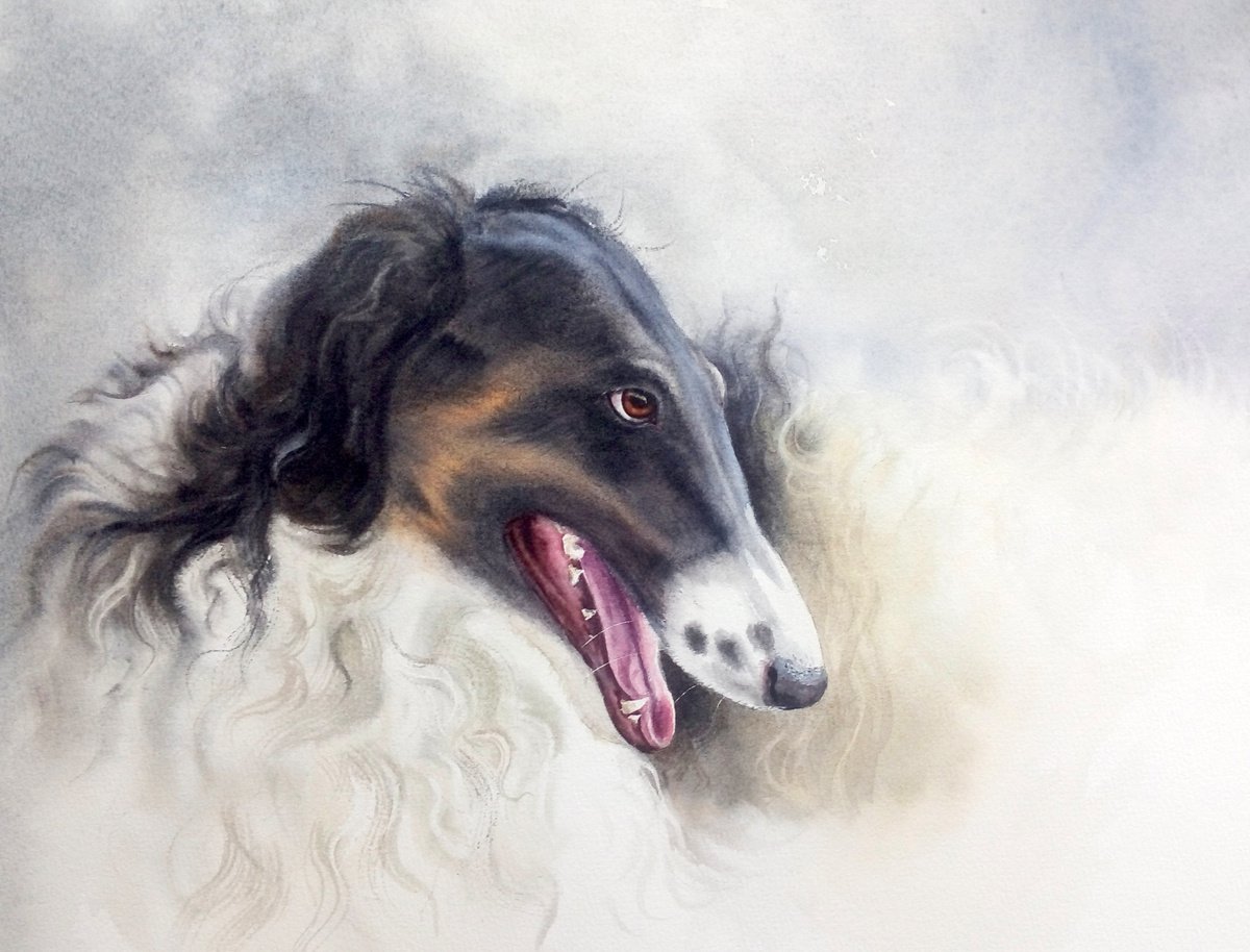 Borzoi - Russian wolfhound - dog - sighthound by Olga Beliaeva Watercolour