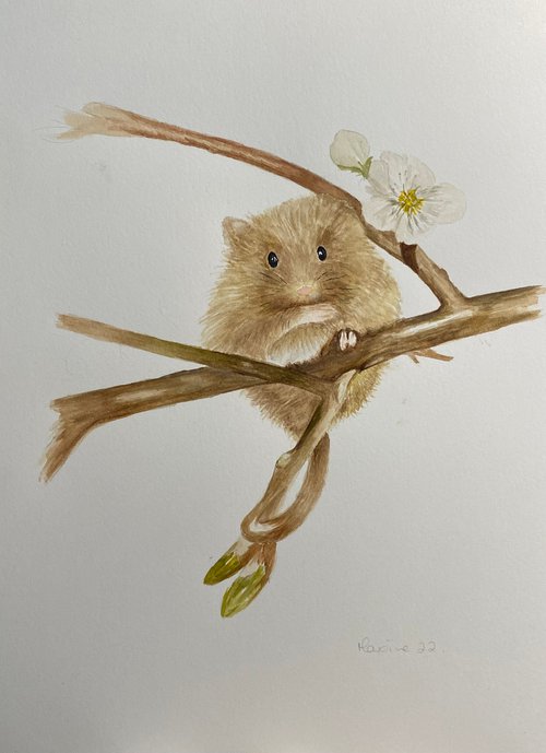 Mouse on branch by Maxine Taylor