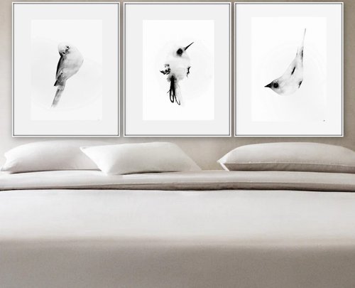 Set of 3 artworks. Birds by Nadia Moniatis