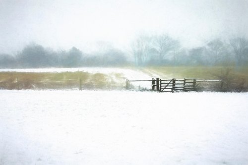 Snowy Gate by Martin  Fry