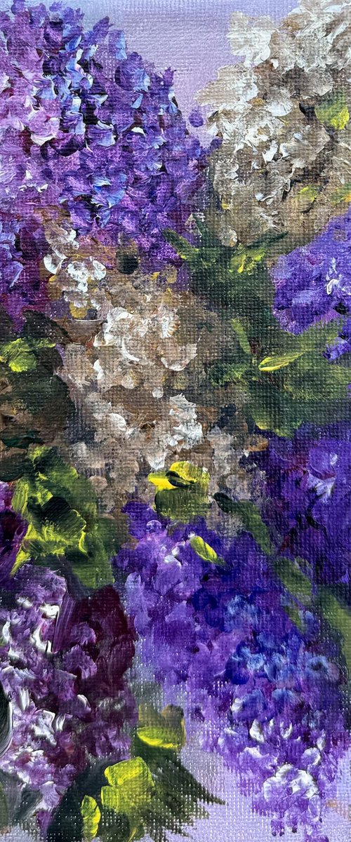 Collection of Delicate Flowers - Captivating Lilacs by Tanja Frost