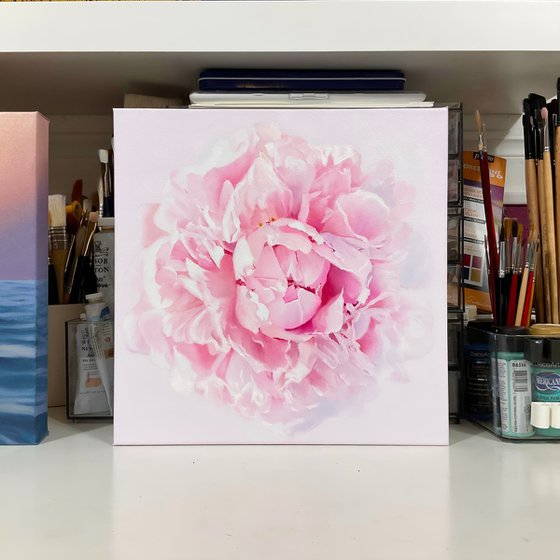 Delicate Peony Bloom
