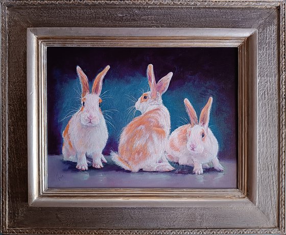 3 little Rabbits