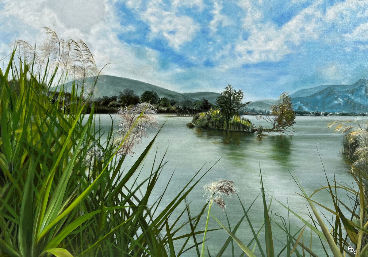 Photorealistic Oil Painting , Whispers Of The Sebino Wetlands By Angelo Di Carlo, 28 X 20, Artwork For Sale On Artfinder