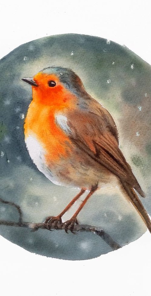 Original Watercolour Robin Bir by Olga Beliaeva Watercolour