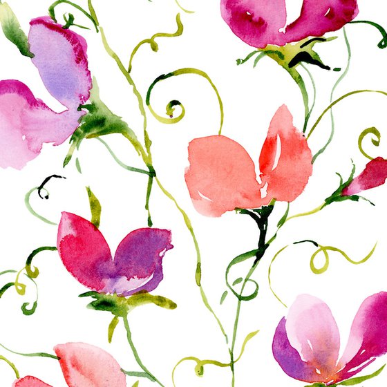 Sweet Pea watercolor