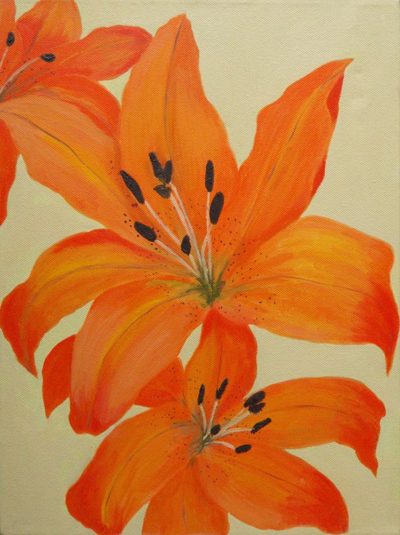 Orange Lilies