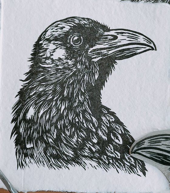 Raven Small Print