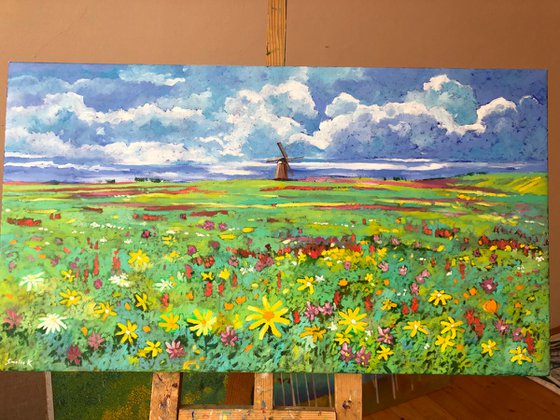 Field with flowers