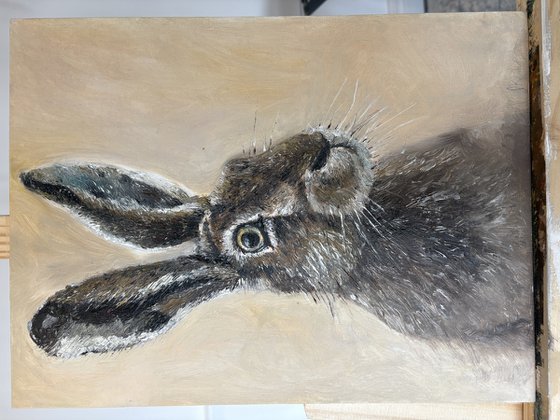 Framed Hare Oil Painting Original Impasto