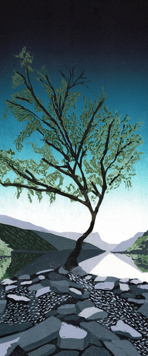 Single Tree by Joanne Spencer