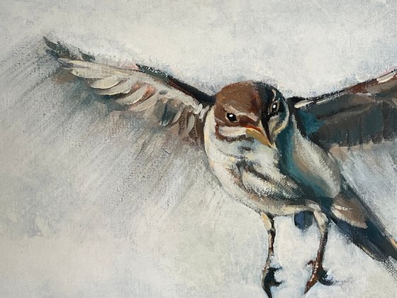 The Nest: home we carry within