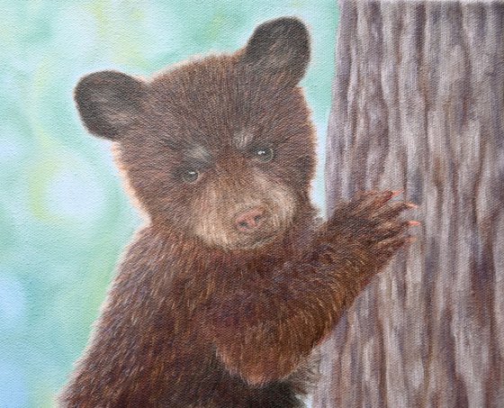 Bear Cub