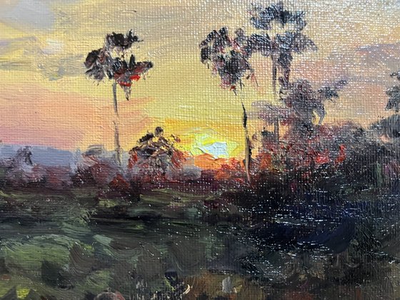 Before the Sun Rests