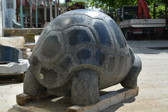 "Giant Tortoise"