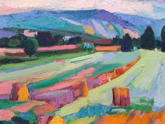 Golden Fields of Tuscany